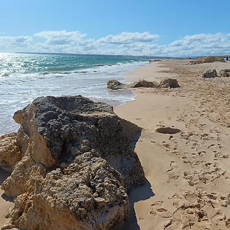 Mexico One Bedroom With Patio And Garden