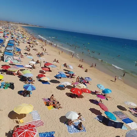 Mexico One Bedroom With Patio And Garden Appartement