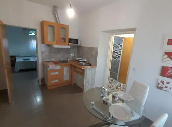 Mexico One Bedroom With Patio And Garden Apartment